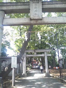 torii of kumano shrine