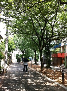 Promenade of street trees at jiyugaoka