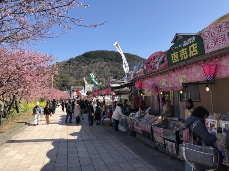 shops near Kawazu staion