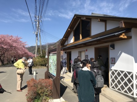 Public lavatory in Kawazu town