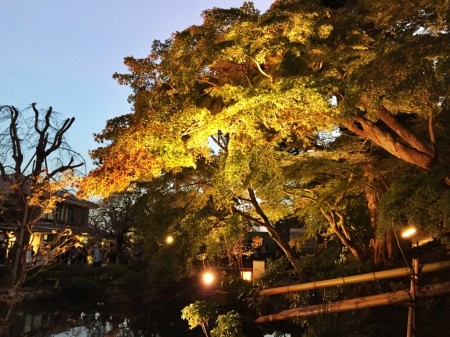 Autumun leaves in Hase temple in Japan