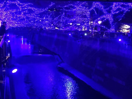 illumination of Meguro river in Japan