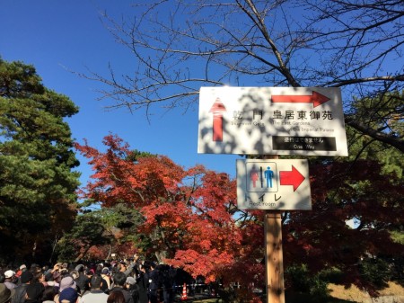 Inui-dori street in the Imperial Palace