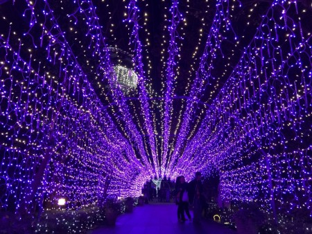 Enoshima Sea Candle