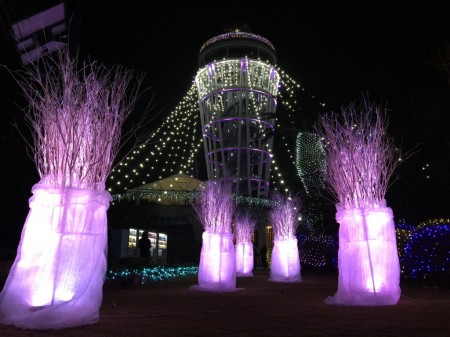 Enoshima Sea Candle