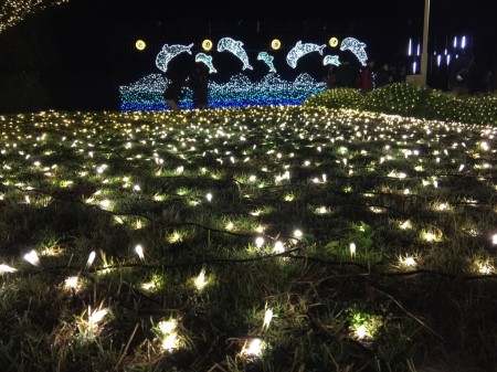 Enoshima Sea Candle