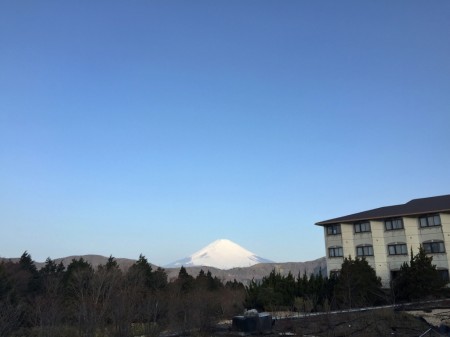 hotel green plaza Hakone 