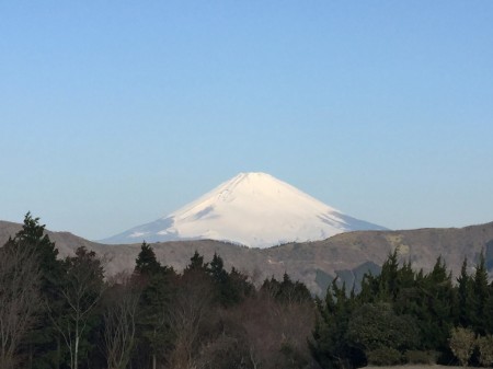 hotel green plaza Hakone 