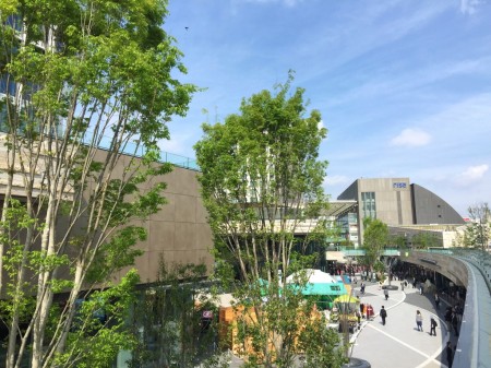 Futako-Tamagawa Rise Terrace Market