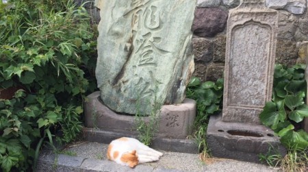 enoshima island in Japan