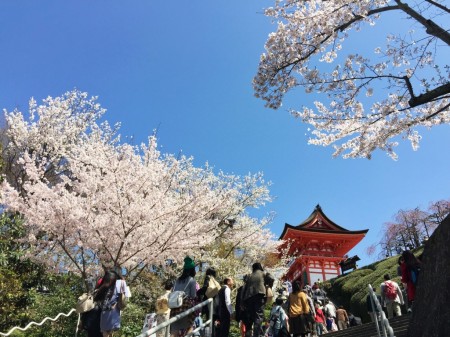 Kiyomizu dera temple