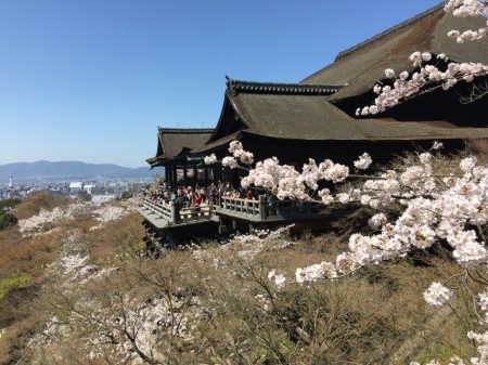 Kiyomizu temple in Kyoto