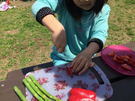 Barbecue at Tsukui lake in Japan