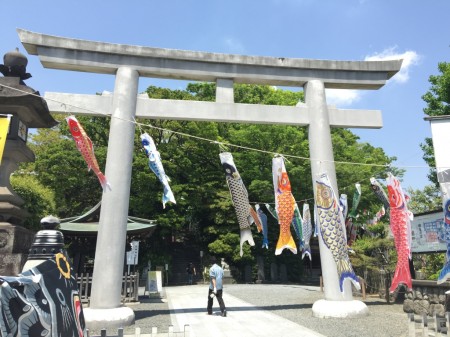Carp streamers in Shirahata shrine