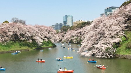 Chidorigafuchi-ryokudo Walkway