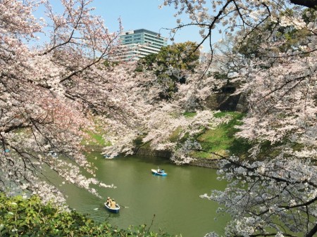 Chidorigafuchi-ryokudo Walkway