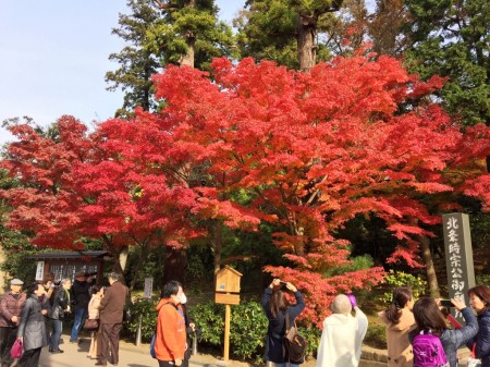 engakuji temple