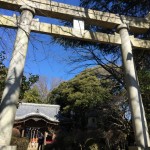 Azuma shrine in Ninomiya