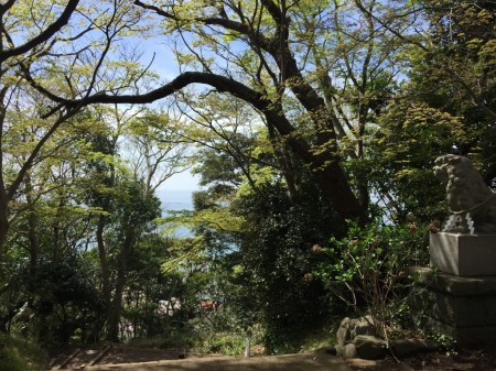 azuma shrine in Ninomiya town