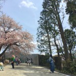 Hakone open air museum