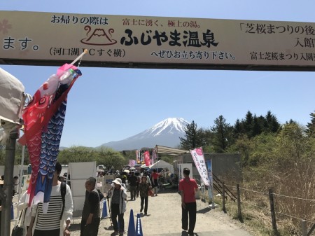 Entrance of Fuji Shibazakura festival