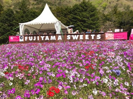 FUJIYAMA SWEETS at Fuji Shibazakura festival