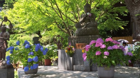 Hase temple in Kamakura