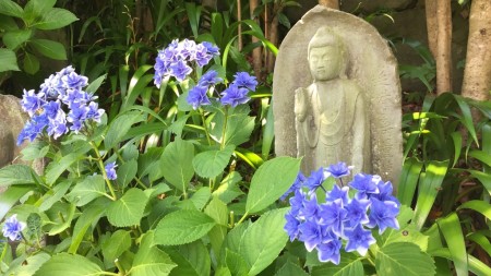 Hase temple in Kamakura