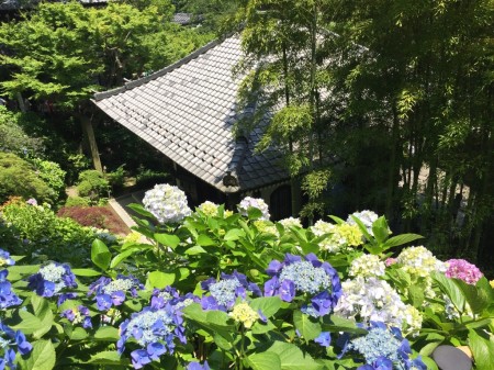 Hase temple in Kamakura