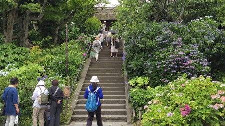 Tokeiji temple in Kamakura