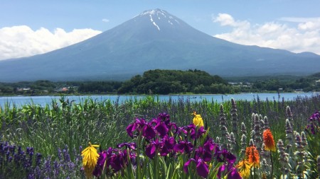 Kawaguchiko Herb Festival