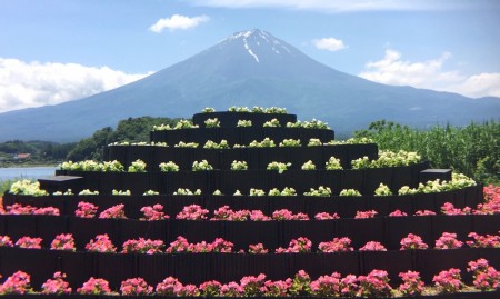 Kawaguchiko Herb Festival