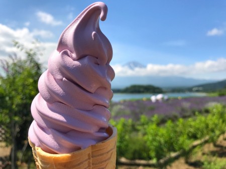 Blue berry soft serve ice cream at the lake Kawaguchiko