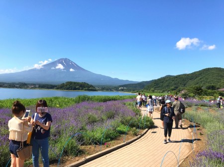 Kawaguchiko herb festival