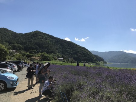 Photo spot of Kawaguchiko herb festival