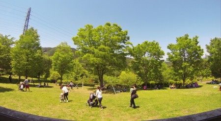 Odawara Kodomono Koen Wanpaku Land park