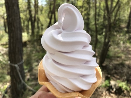 soft ice cream at Hanano Miyako Koen park