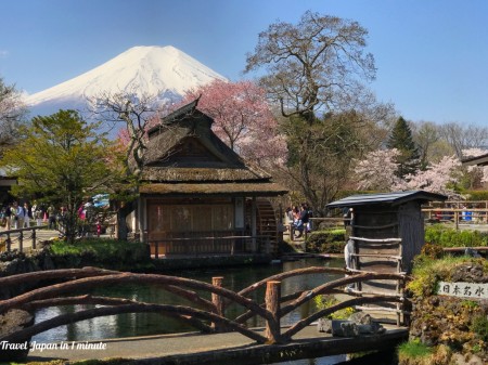 Cherry blossoms and Mt.Fuji at Oshino Hakkai