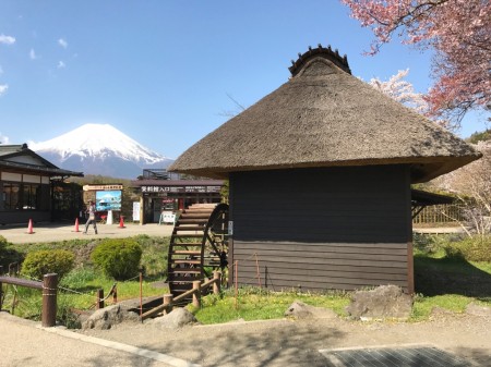 Water mill,Cherry blossoms and Mt.Fuji at Oshino Hakkai