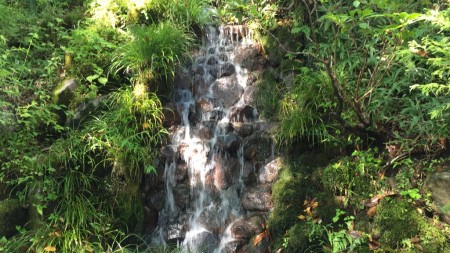 Hakone Garasu No Mori Museum