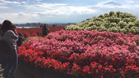 lake Kawaguchi