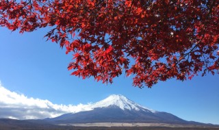 Autumn leaves and Mt.Fuji in lake yamanaka