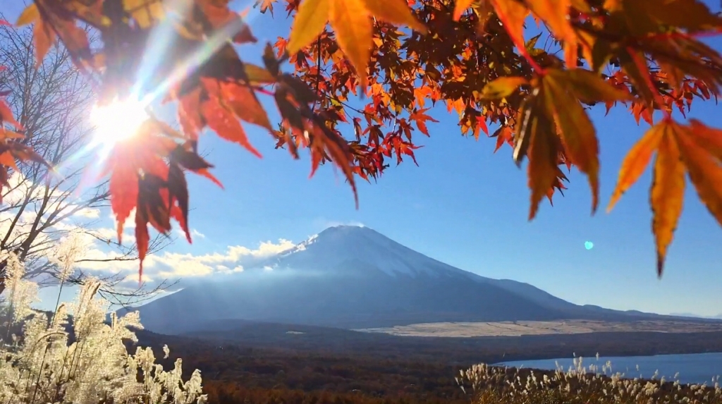 Mt.Fuji with autumn leaves,lake,Japanese silver grass