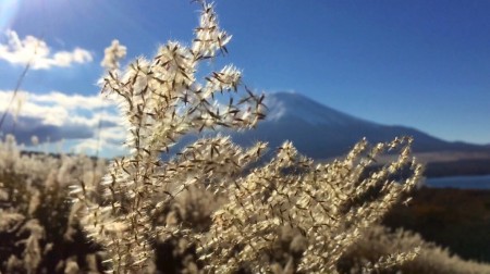 Yamanakako Panorama dai