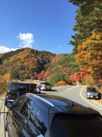 momiji tunnel in lake Kawaguchi in Japan