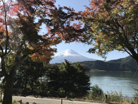 Momiji tunnel