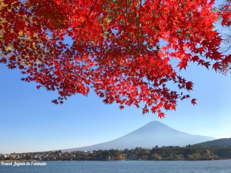 Momiji tunnel