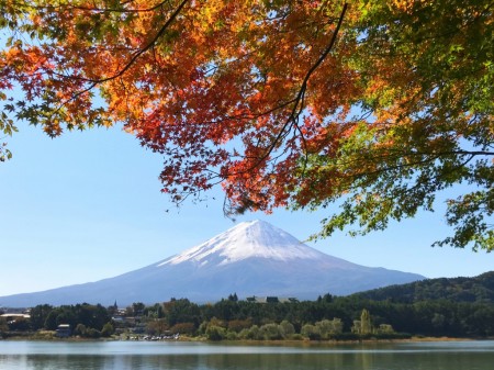 Momiji tunnel