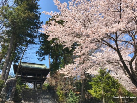 Cherry blossoms at Shohukuji temple Chureito pagoda at near Arakurayama Sengen Park