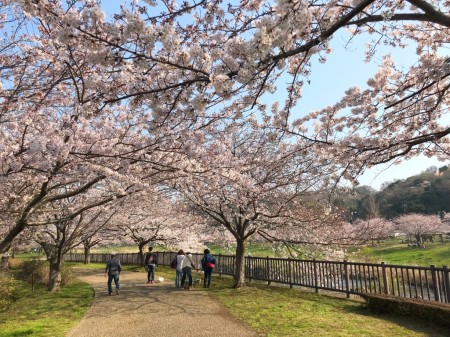 Hikichigawa Shinsui Koen Park